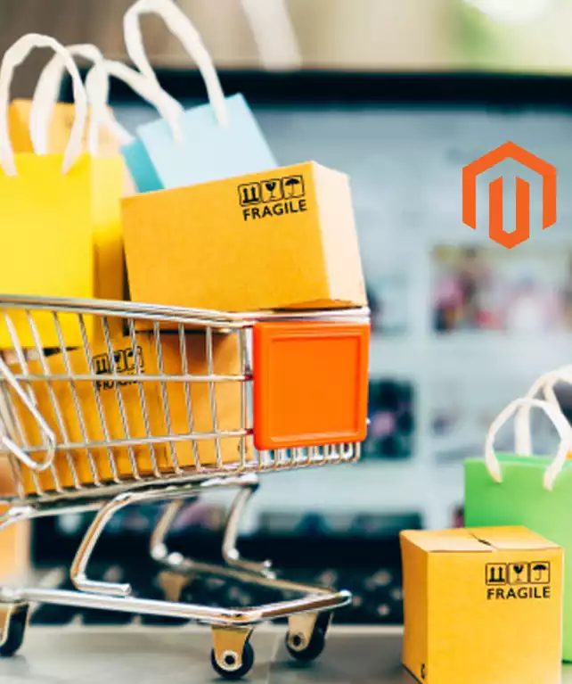 An insight into the specialized features incorporated within Our Magento Customization Services-