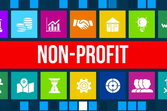 Non-Profit Websites